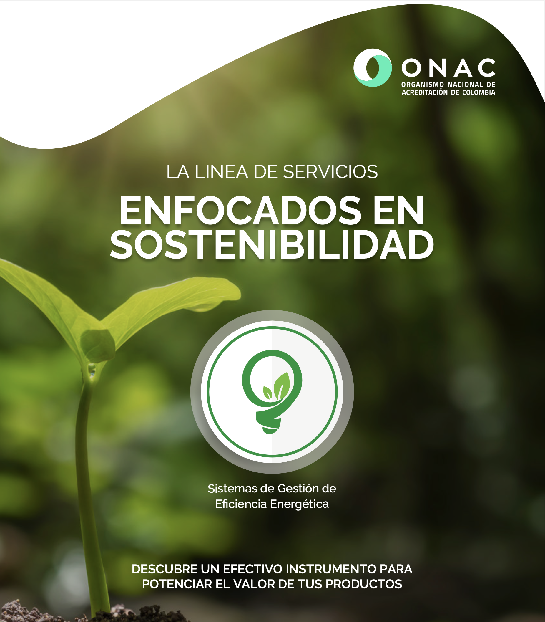Captura de Pantalla 2021-09-06 a la(s) 4.34.44 p. m.